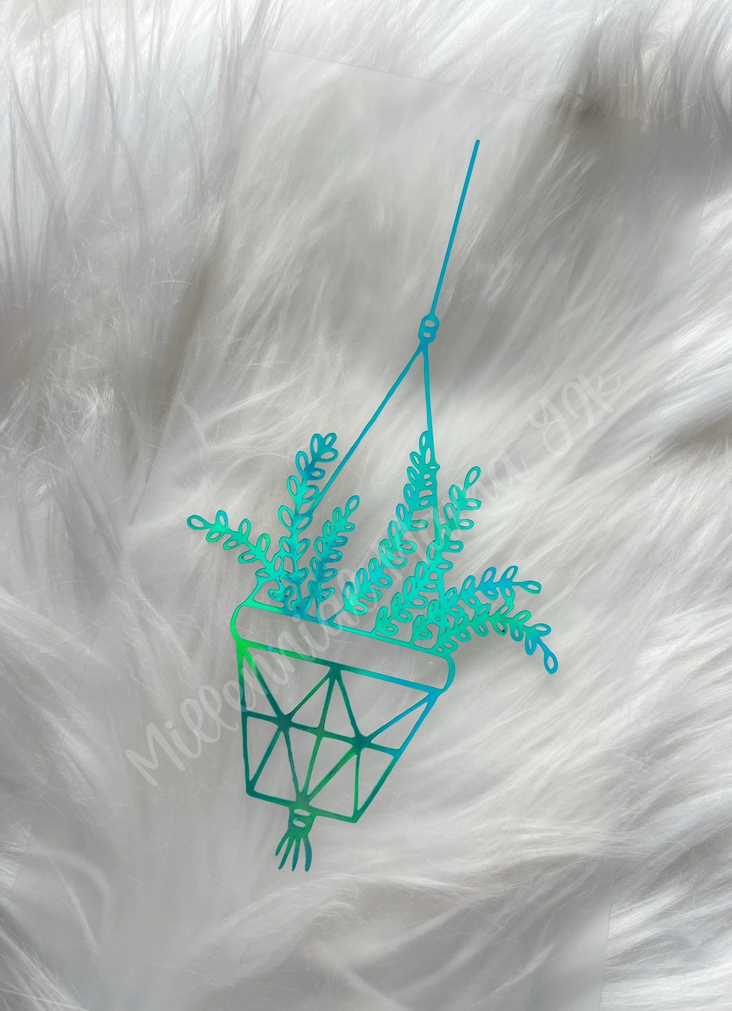 Hanging Plant #2