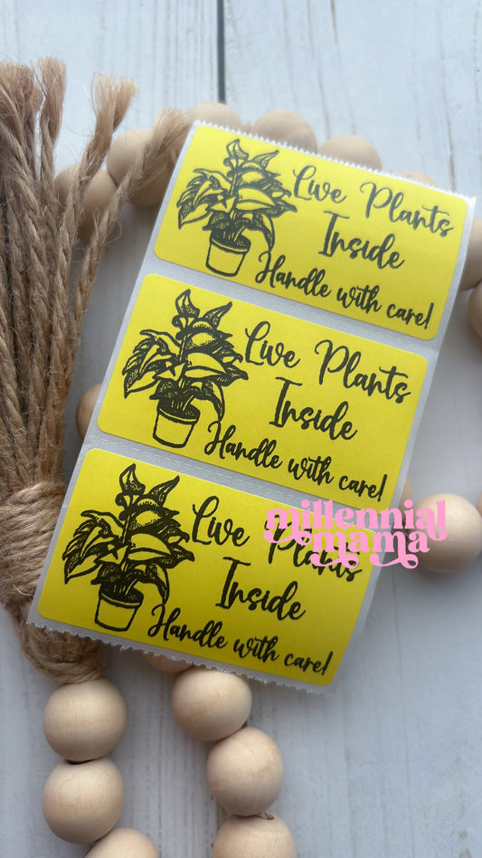 Live Plants Inside