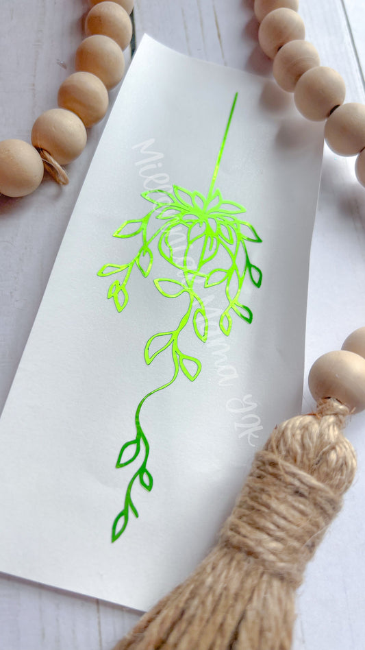 Hanging Plant