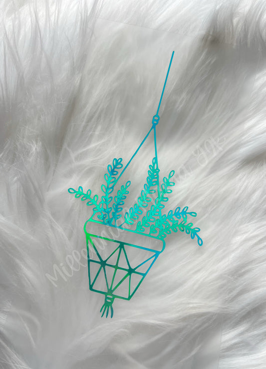 Hanging Plant #2