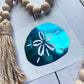 Sand dollar